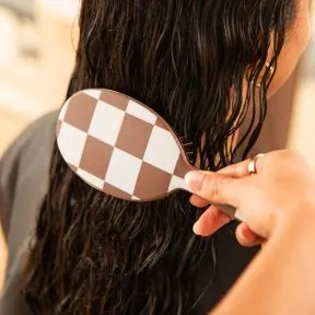 Framar Checked Out Chocolate - Detangle Brush