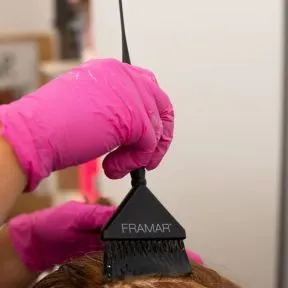 Framar Root Repair Brush Set